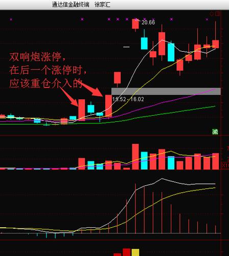涨停双响炮截图