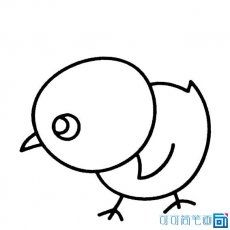 小鸡的画法简笔画画图片