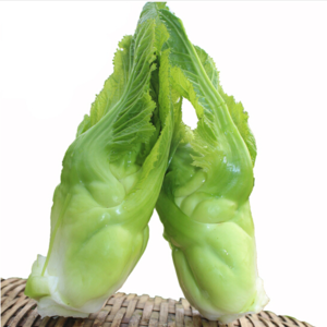 娃娃菜四川娃儿菜新鲜包邮5斤抱儿菜芥菜新鲜青菜蔬拳头菜