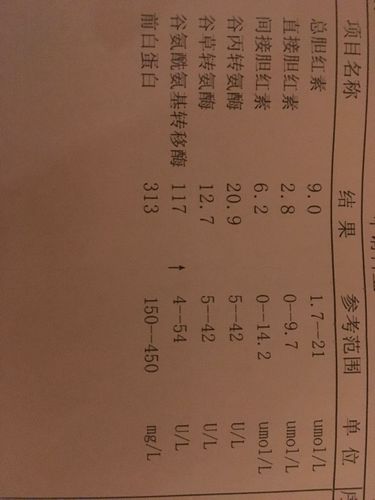 谷氨酰氨基转移酶数值偏高