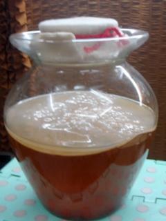 红茶菌又叫海宝胃宝