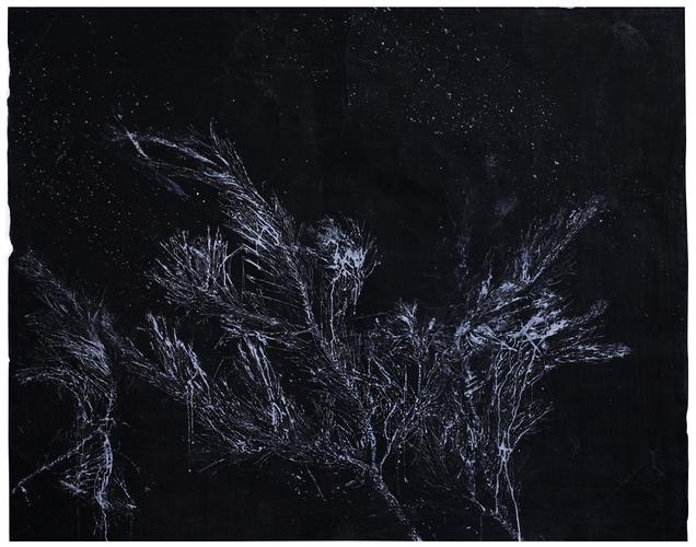 黑色纸上的松树