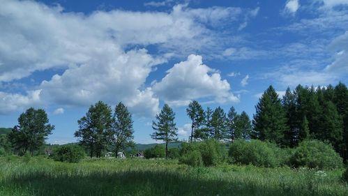 内蒙古自治区呼伦贝尔市根河市河西街道乌力库玛_天气