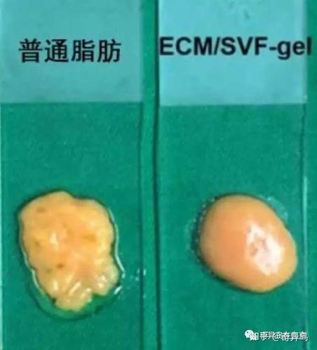 宝宝们看上图,乳化完成后,脂肪整体的颜色比乳化前要淡很多,这其实就