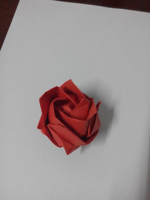 川崎玫瑰,情人节那天送给室友的,红红的,希望她新年有好运