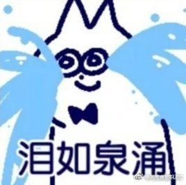 这个蓝白领结小猫表情包到底出自哪里已解决