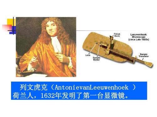 列文虎克(antonievanleeuwenhoek   荷兰人,1632年发明了第一台显微镜