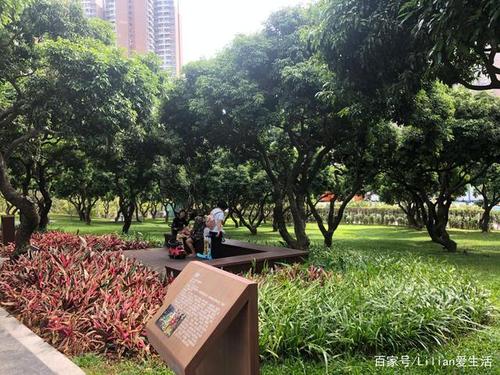 在深圳逛公园-西丽生态公园