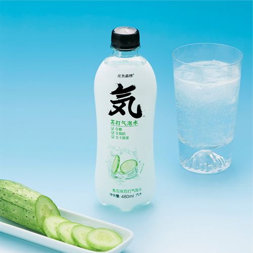 24元森林无糖青瓜味气泡水饮料480ml瓶