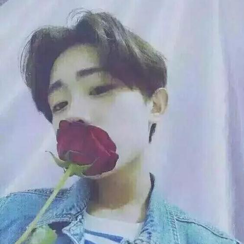 求男头像 穿白衬衫拿花挡住脸 高清的