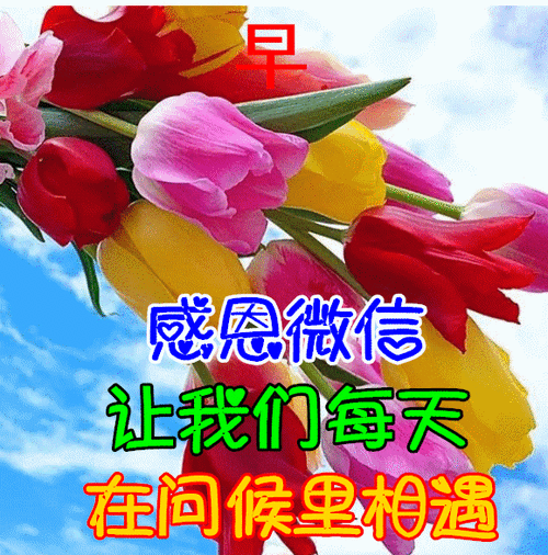 11月16日早上好动态表情图片大全早晨好动图美图大全