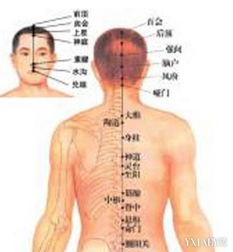 【图】揭秘女性背部经络图 哪些经络你还不了解吗?