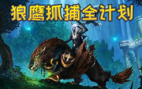 老司机狼鹰坐骑与宠物最强攻略魔兽世界百大系列猎人宠物33