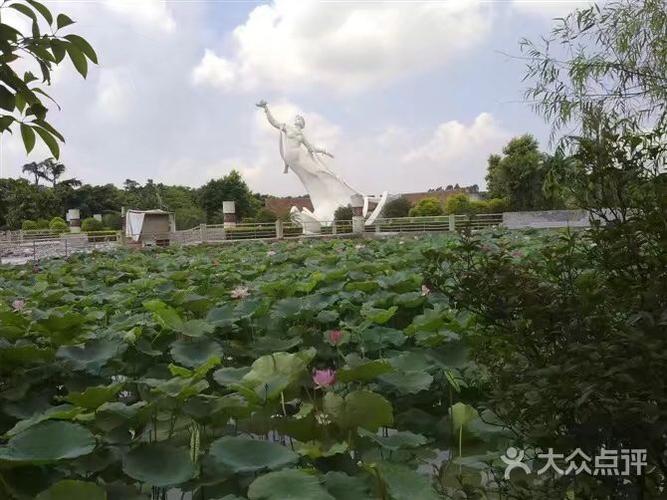 荷花奇境(三水荷花世界)图片 - 第14张