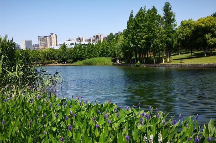 第1次来南京河西城市生态公园