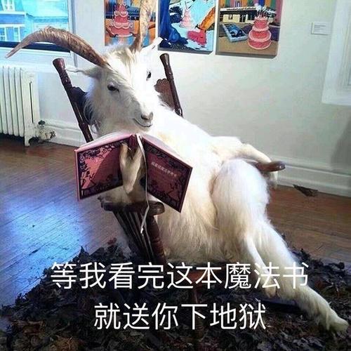 找一个表情一只山羊坐在椅子上拿着一本魔法书