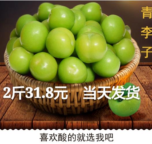 【当天发货 2斤装】三月李前排早李青李子珍珠孕妇水果三月李包邮