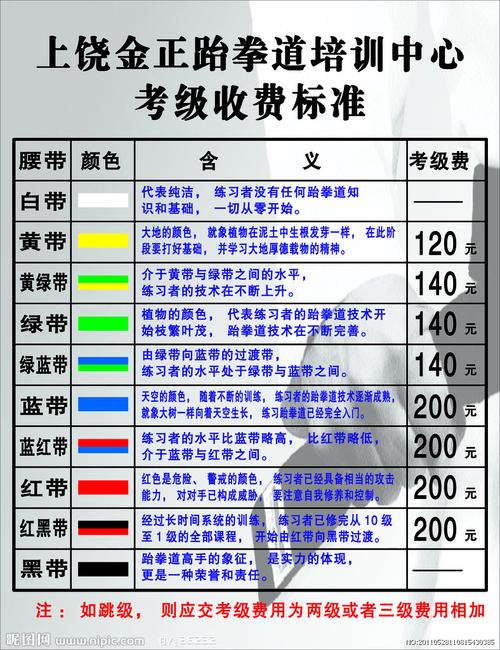 金正跆拳道考级收费标准图片