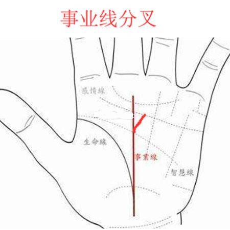 通过你手相中的事业线来看你是否适合跳槽或者转行