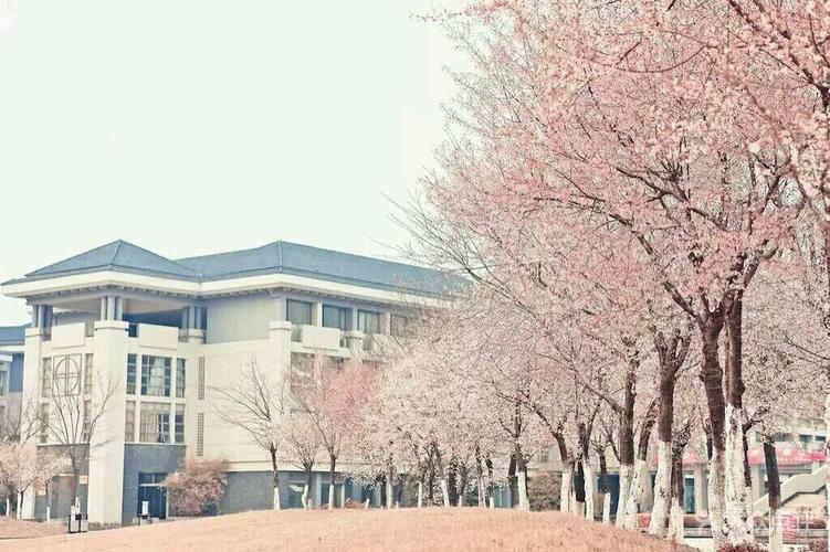 南京晓庄学院(方山校区)图片 - 第18张