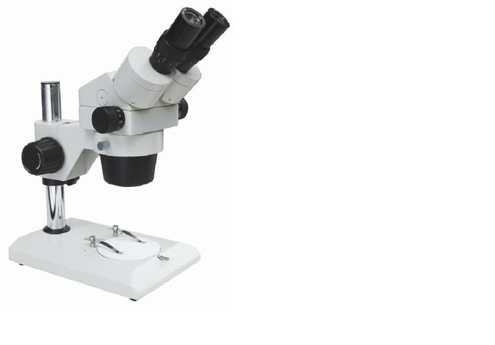 实体显微镜xtl300