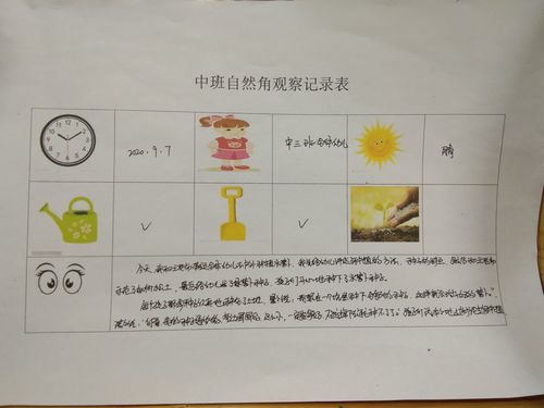 小园地,大自然——猗丰示范幼儿园中三班种植园活动分享