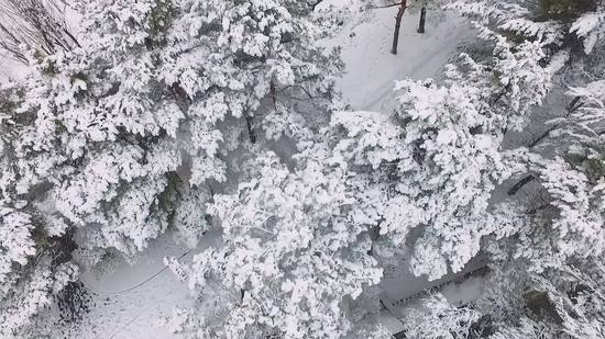 听,雪落下的声音