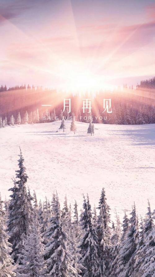 一月再见冬日唯美雪景文字图片手机壁纸