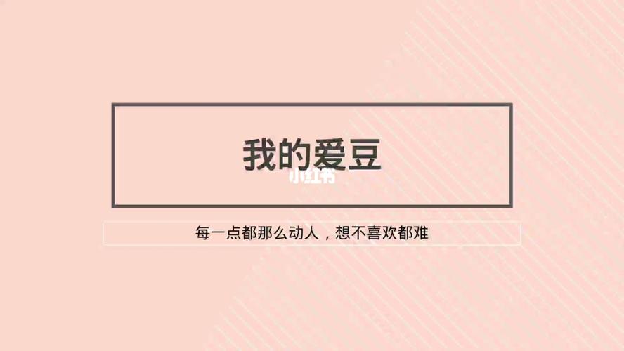 给我爱豆做的ppt哈哈_学习日常_教育_职业培训