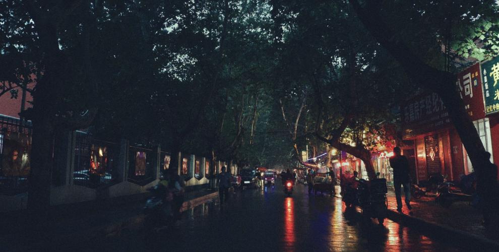 【随笔】归路之—『秋雨夜』