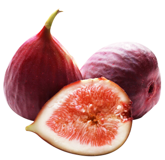 紫皮无花果