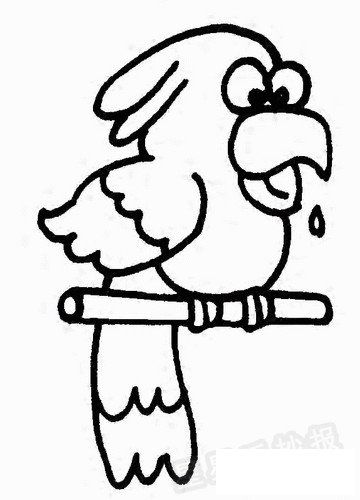 鹦鹉简笔画怎么画