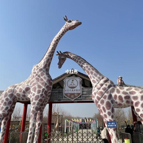 曲阜长鹿动物园自驾园区_动物园_自驾_曲阜长鹿动物园