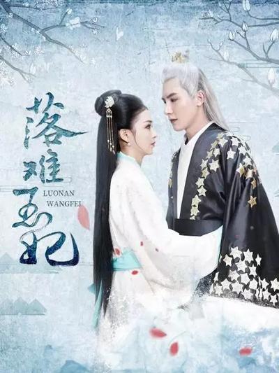 落难王妃-经典好看的古装电视剧排行榜