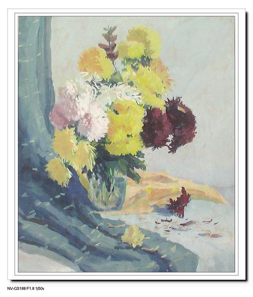 水粉静物——菊花