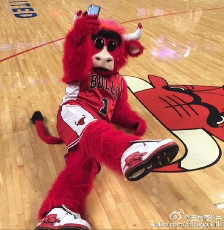 wed may 27 23:12:23  0800 2015 影音 芝加哥公牛: 公牛吉祥物可是