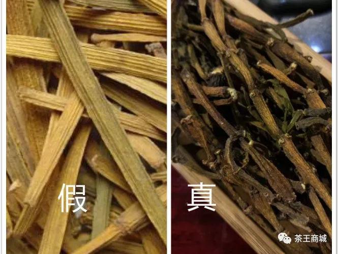古茶树上特有的螃蟹脚,你了解吗?