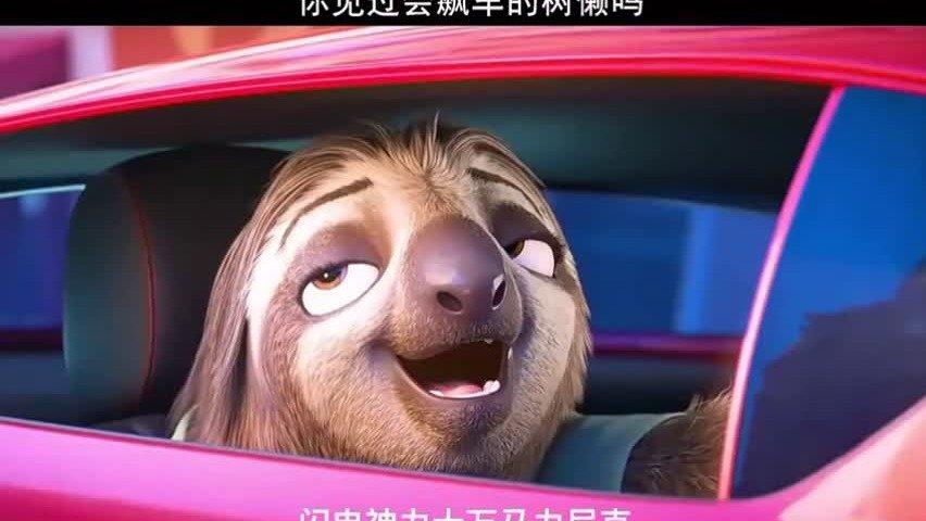 疯狂动物城你见过会飙车的树懒吗