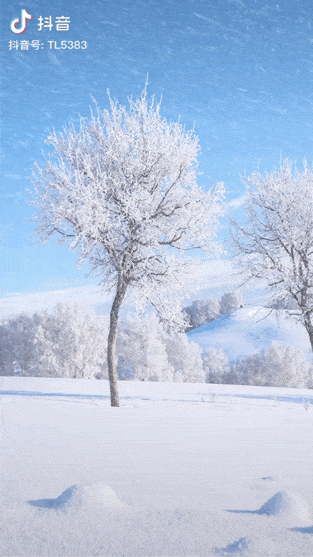 刷爆抖音!惊呆朋友圈!东北暴风雪来了!