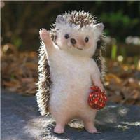 刺猬也可以很萌很有个性_个性头像_qq头像站