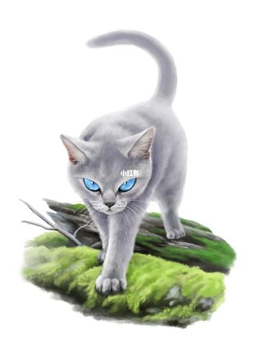 猫武士鸽翅～_猫武士_宠物_猫