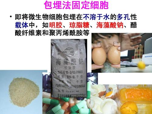 微生物细胞包埋在不溶于水的多孔性 载体中,如明胶,琼脂糖,海藻酸钠