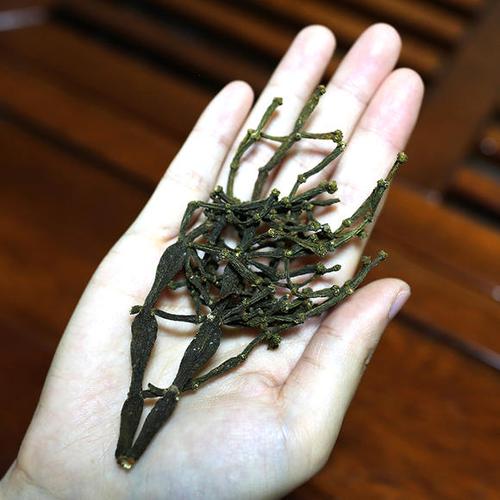 【螃蟹脚】景迈山古茶树上的寄生精灵