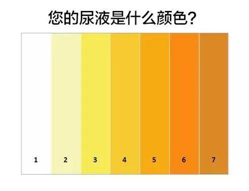 尿液出现这8种颜色要小心了可能是疾病的信号