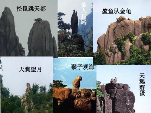 黄山奇石乌龟爬山手抄报 手抄报简单又漂亮