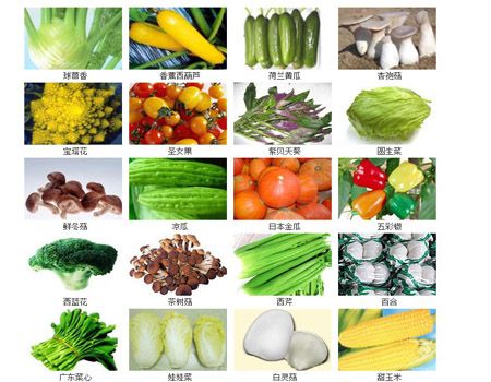 食道癌患者吃哪些食物好