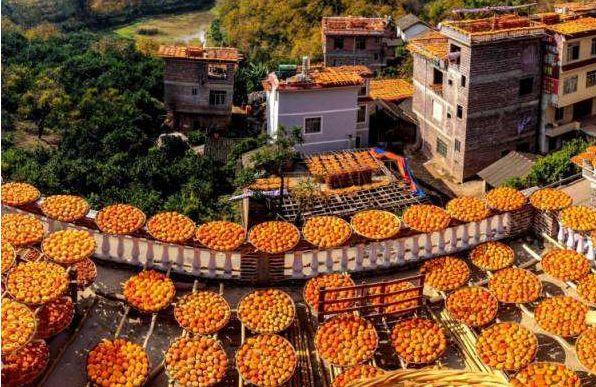 秋天红了!体验广西恭城柿子节 网红三千漓"天空之境"!