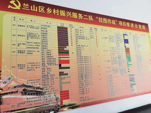 在临沂有一支服务队,"挂图作战"点燃乡村振兴新引擎