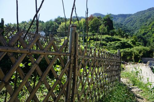 安徽池州石台县大山村留影(一)