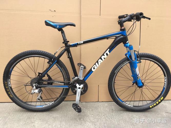 求各位大佬帮忙看看这车怎么样 二手捷安特atx770 789